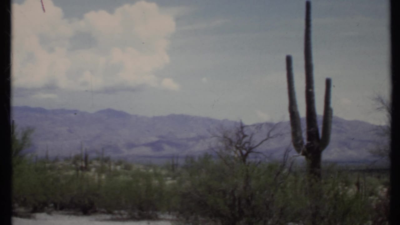 1971 8mm California desert view with a tall cactus, low scrub, distant mountains, and soft clouds.