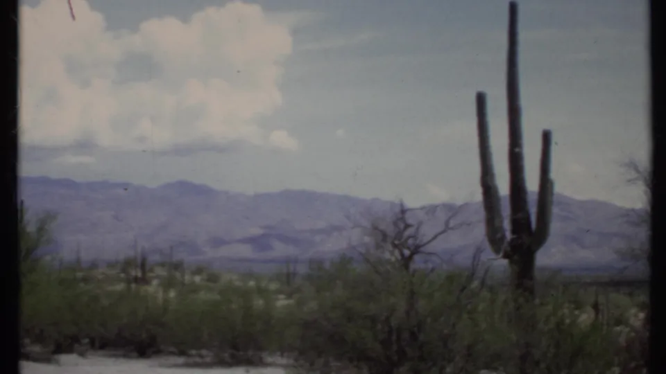 1971 8mm California desert view with a tall cactus, low scrub, distant mountains, and soft clouds.