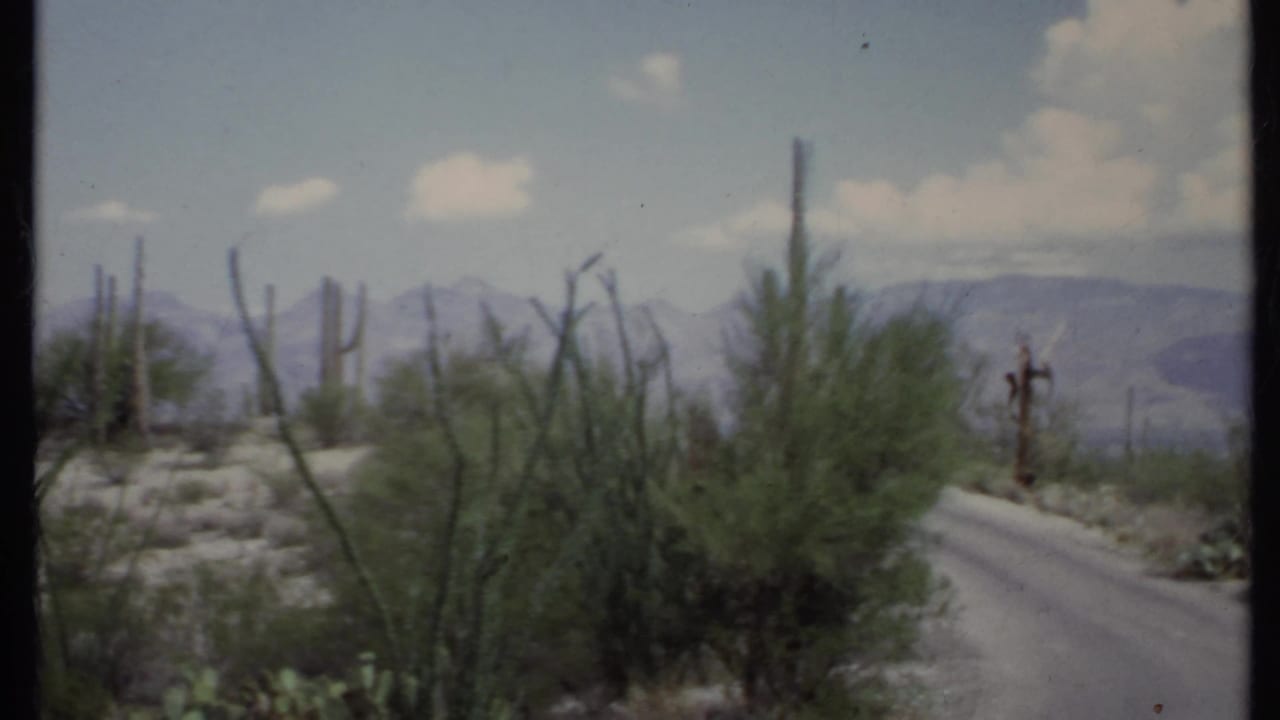 Narrow desert road curving past cacti, shrubs, and mountains.