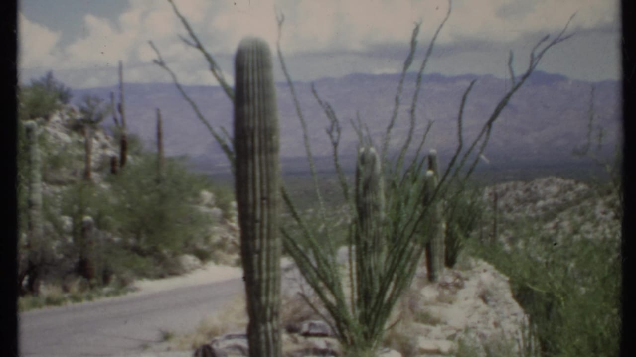 1971 California 8mm frame showing a roadside desert view with tall cacti, scrub, rocky ground, and distant mountains.