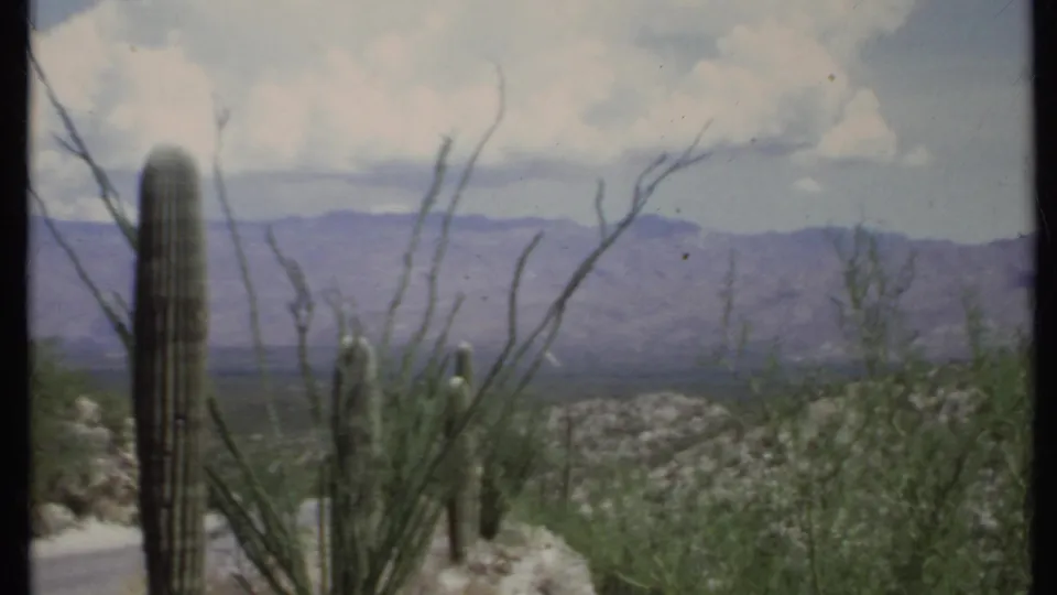 1971 California 8mm frame showing cactus and dry roadside vegetation against distant purple-gray mountains.