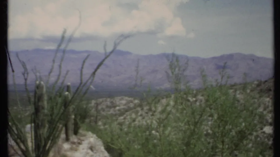 1971 California desert frame with brush, cactus stems, rocky terrain, and a broad mountain backdrop under clouds.