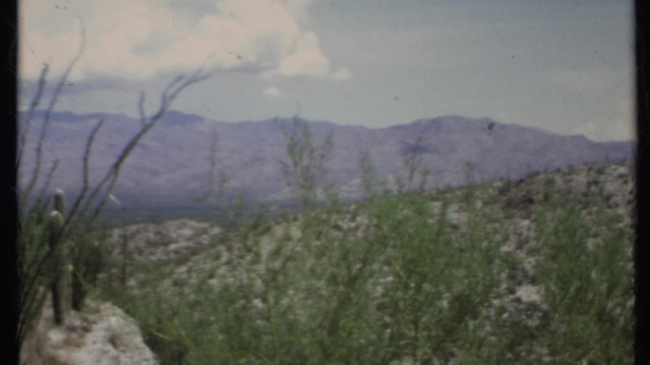 Desert hillside with shrubs, cacti, distant mountains, and pale clouds.