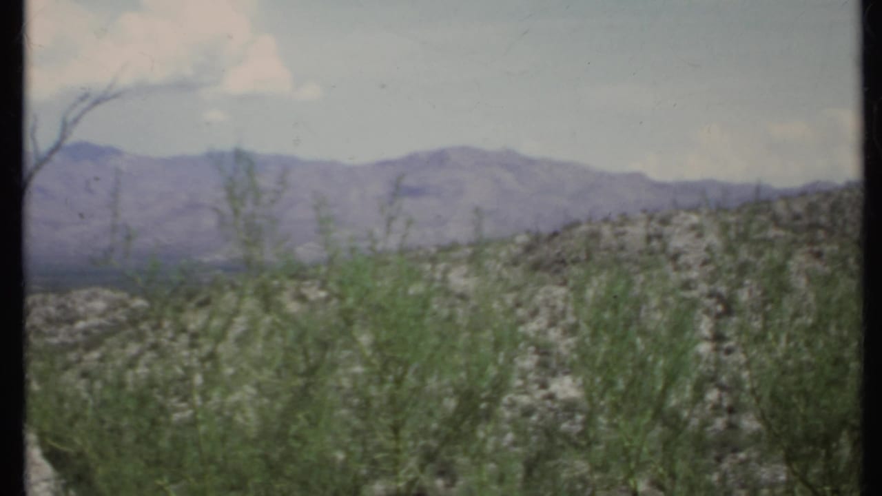 Shrubby desert foreground with rocky ridge, mountains, and bright sky.