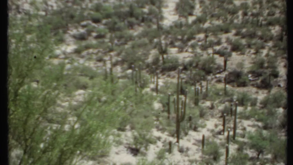 1971 California 8mm frame looking over sandy desert terrain with clustered cacti, shrubs, rocky ground, and distant mountains.