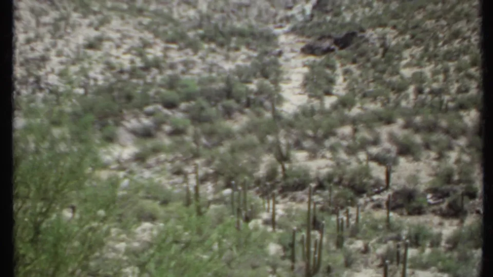 1971 California 8mm frame showing cactus clusters, sandy tracks, scrub vegetation, rocky hills, and hazy mountain ridges.