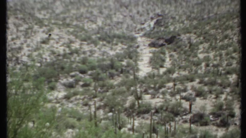 1971 8mm California desert view showing a rugged slope with sparse shrubs, tall cactus forms, and muted film color.