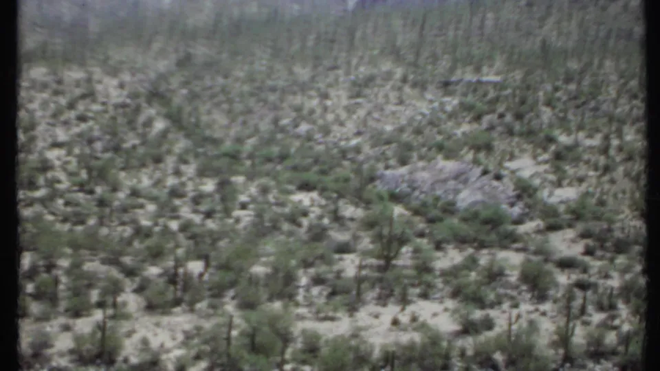 Handheld 1971 8mm frame of a desert valley in California, with scrub plants, cactus forms, and rocky ground.