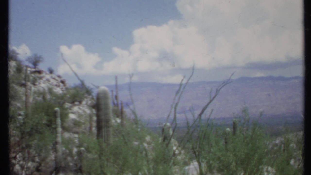 1971 8mm California desert view with tall cactus, scrub plants, rocky ground, distant mountains, and white clouds.