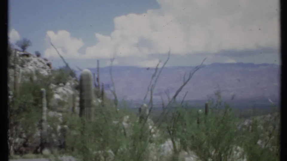 1971 8mm California desert frame showing columnar cactus, brush, pale ground, distant ridge lines, and large clouds.
