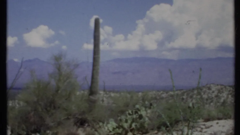 1971 8mm California desert view centered on a tall cactus, prickly pear, shrubs, mountain ridges, and bright clouds.