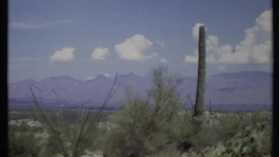 1971 home-movie frame of desert brush, a tall cactus, pale ground, hazy mountains, and bright clouds.
