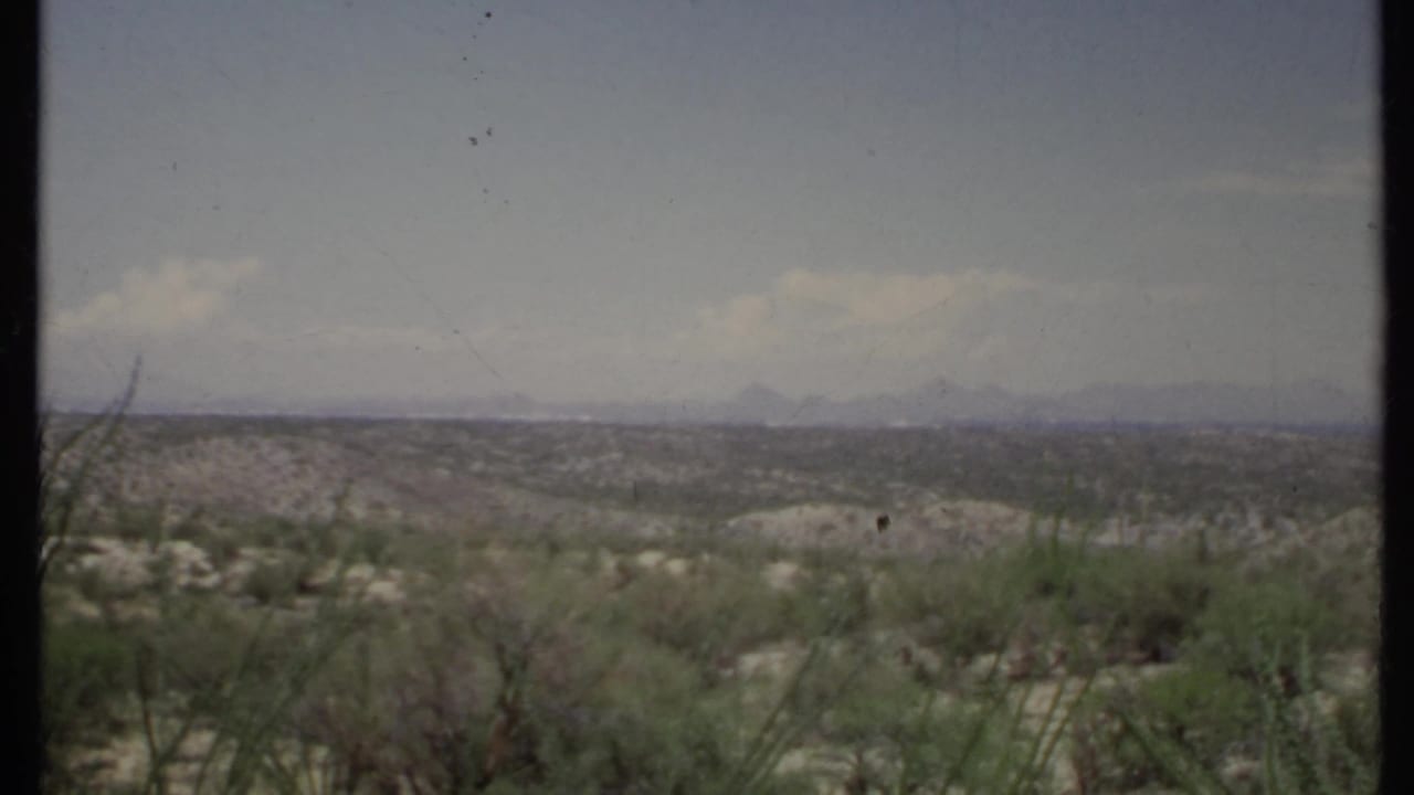 Desert scrubland with low hills and distant mountains under a pale sky.