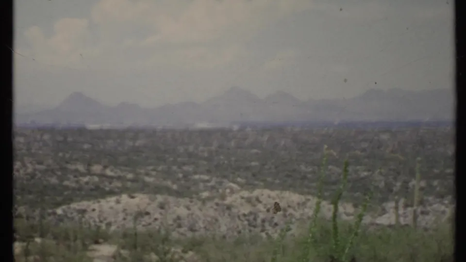 1971 8mm California desert view with a hazy mountain horizon, dry valley floor, and sparse foreground vegetation.