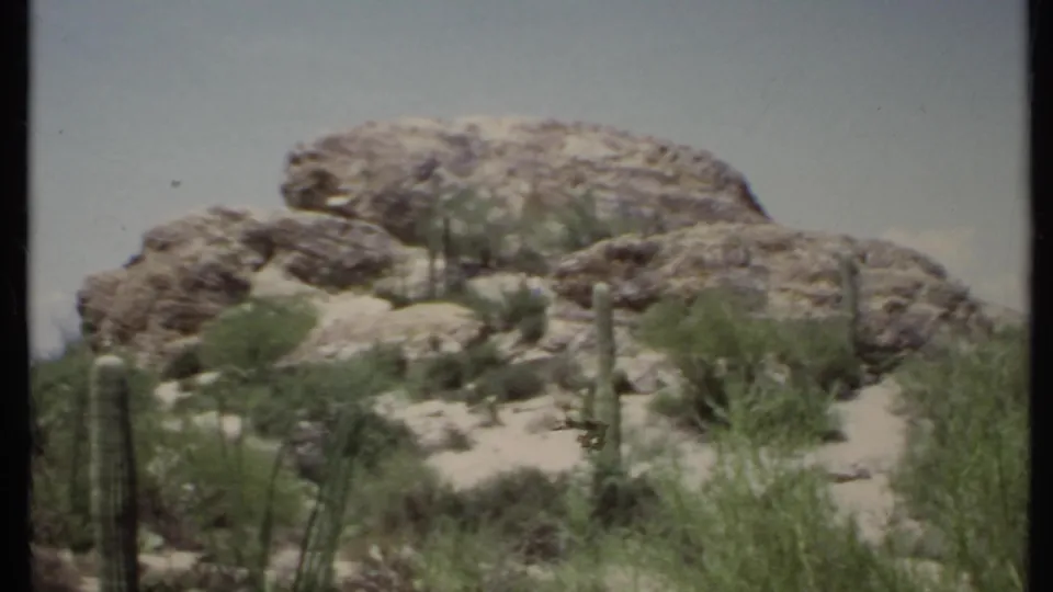 1971 8mm California desert scene showing a rocky slope, tall cacti, sparse shrubs, and pale sandy ground.