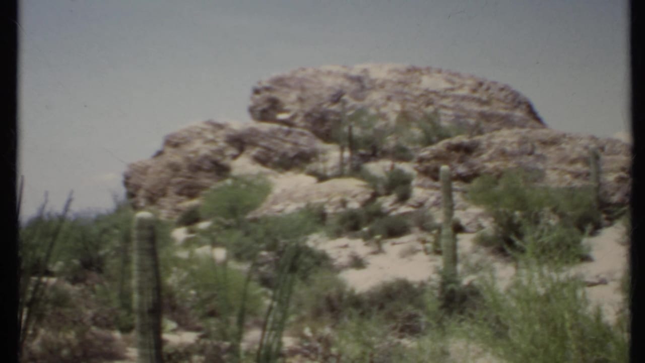 Rocky desert slope with cacti, shrubs, pale sand, and bright sky.