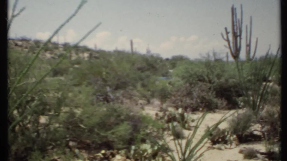 1971 California 8mm frame showing desert vegetation, tall cacti, sandy terrain, and low hills under a bright sky.