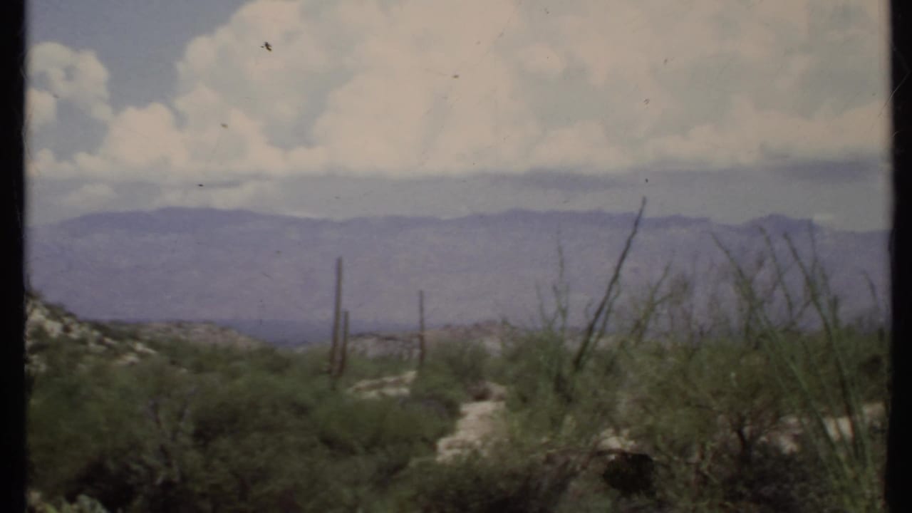 Desert valley with cactus-like plants, scrub brush, distant mountains, and clouds.