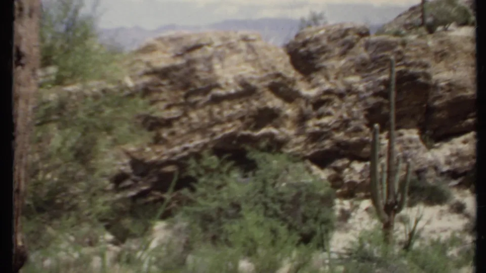 1971 California 8mm frame showing a rocky desert outcrop, tall cactus, green scrub, and faint mountains beyond the foreground rocks.