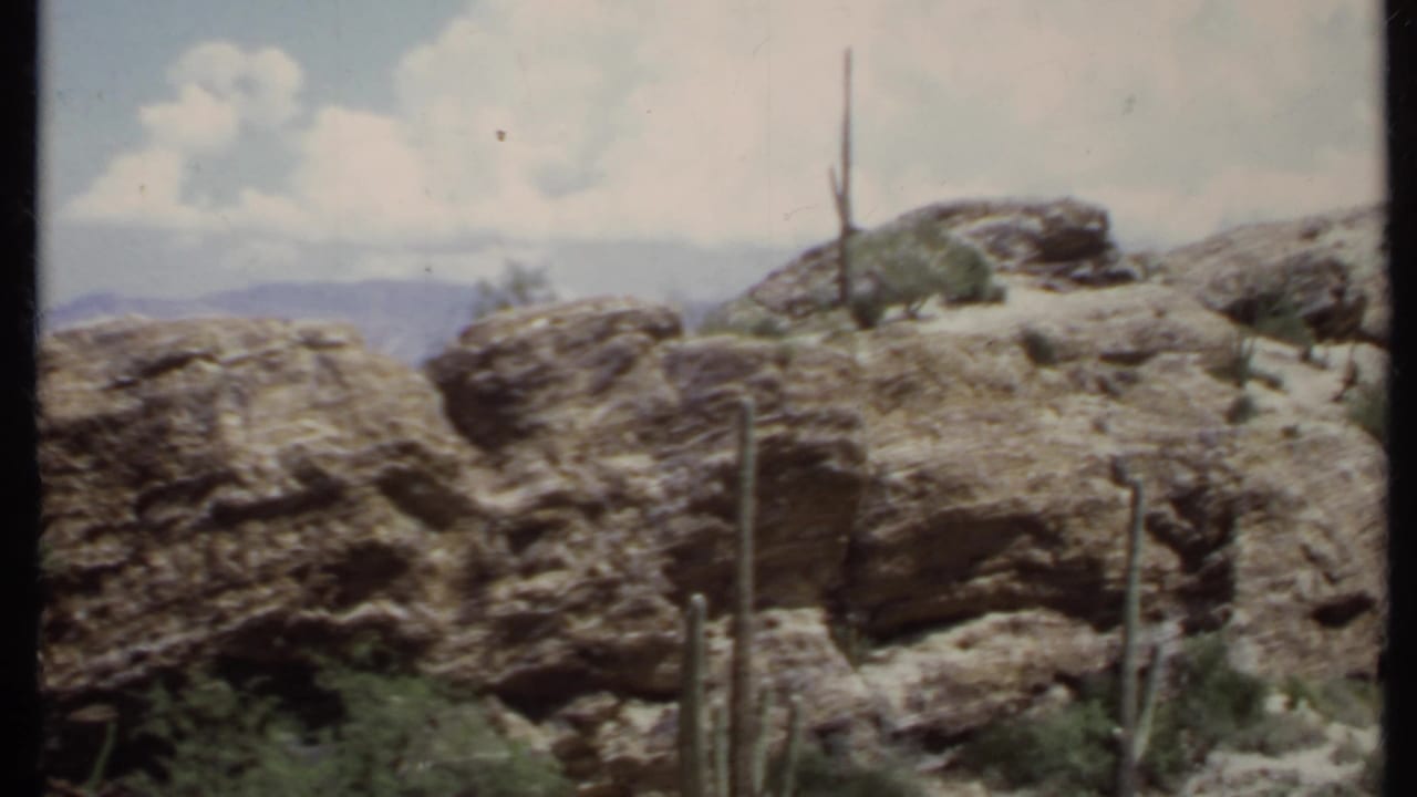 Desert rocks with tall cacti, shrubs, sandy ground, and clouds overhead.