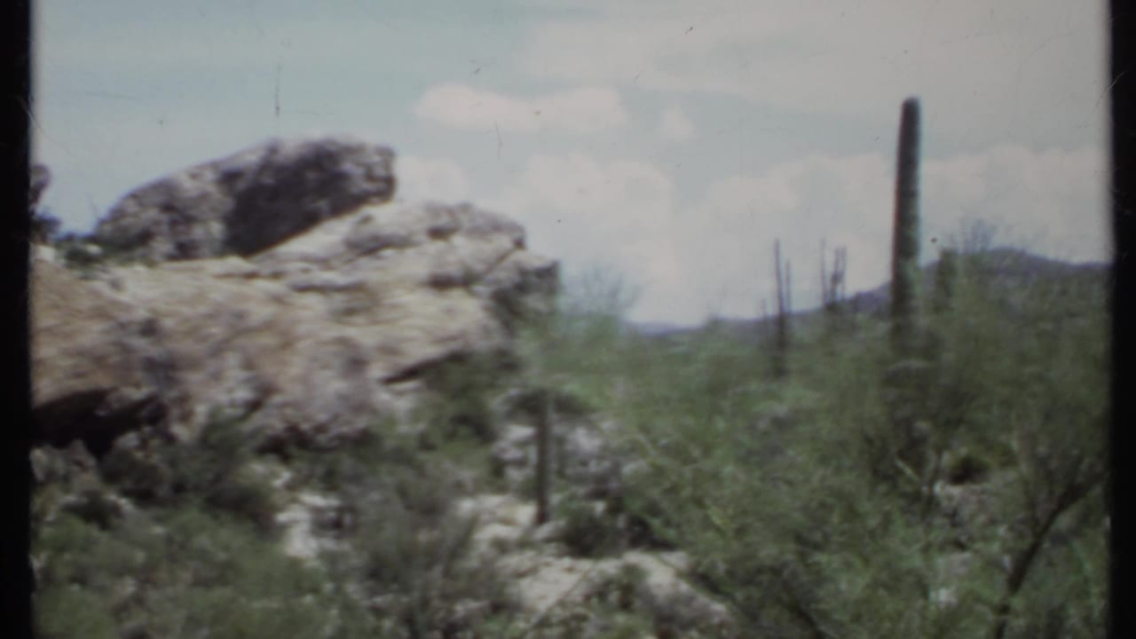 Rocky desert terrain with shrubs, columnar cacti, and pale sky.