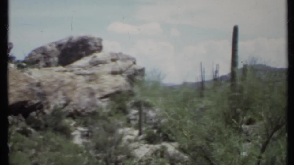 1971 8mm California desert view with rocky outcrops, sparse shrubs, and tall columnar cacti under a bright sky.