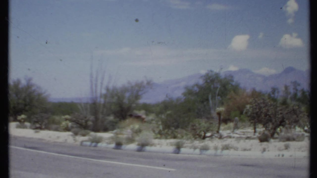 Paved road beside desert shrubs with mountains in the distance.