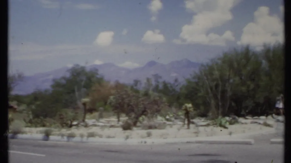 California desert roadside in 1971 with scrub vegetation, curb, distant mountains, and visible 8mm film grain.