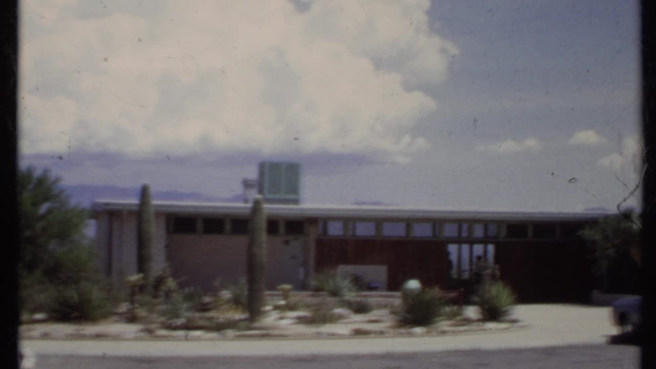 House exterior with cacti, shrubs, driveway, and dark vehicle edge at right.