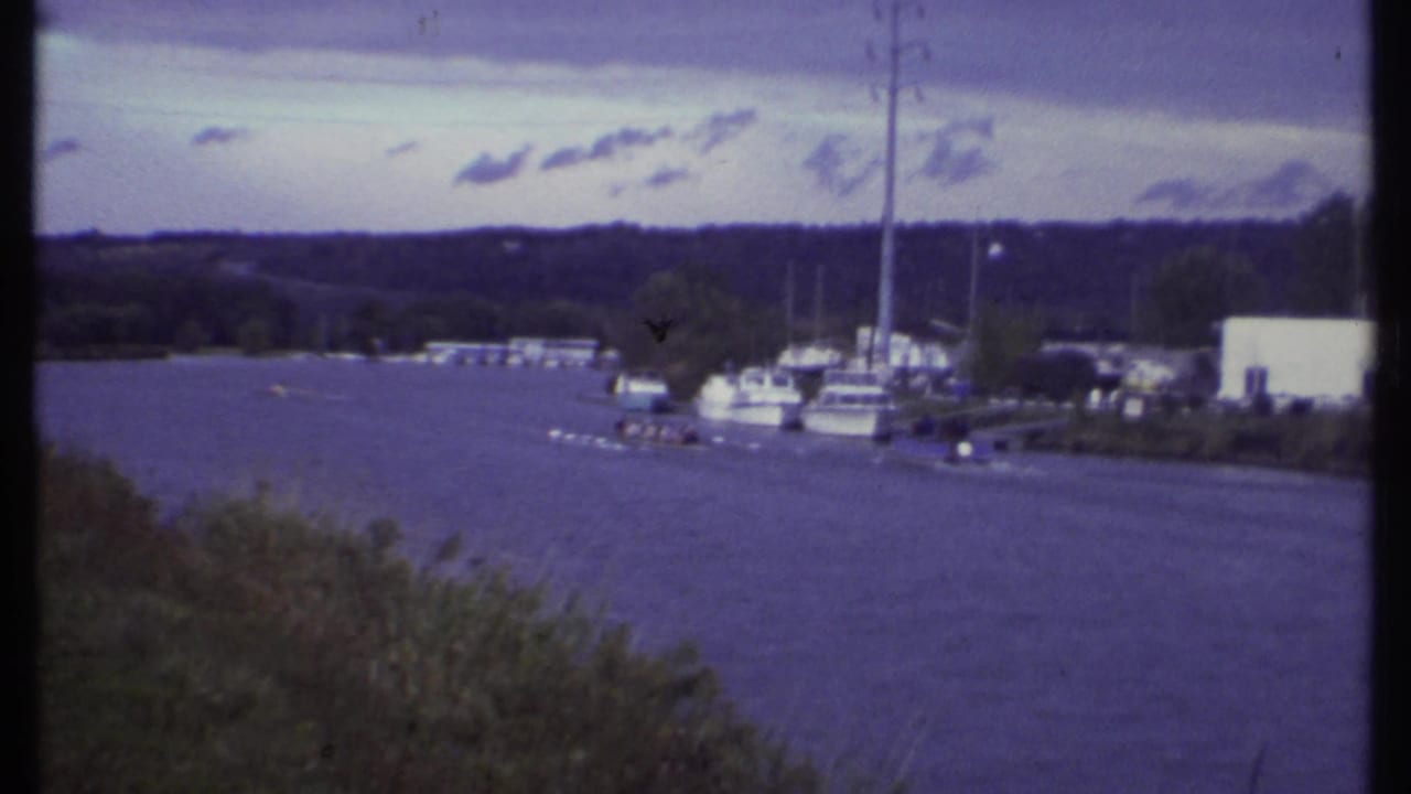 Wide lake view with marina docks, sailboats, and a rowing shell near the shore.
