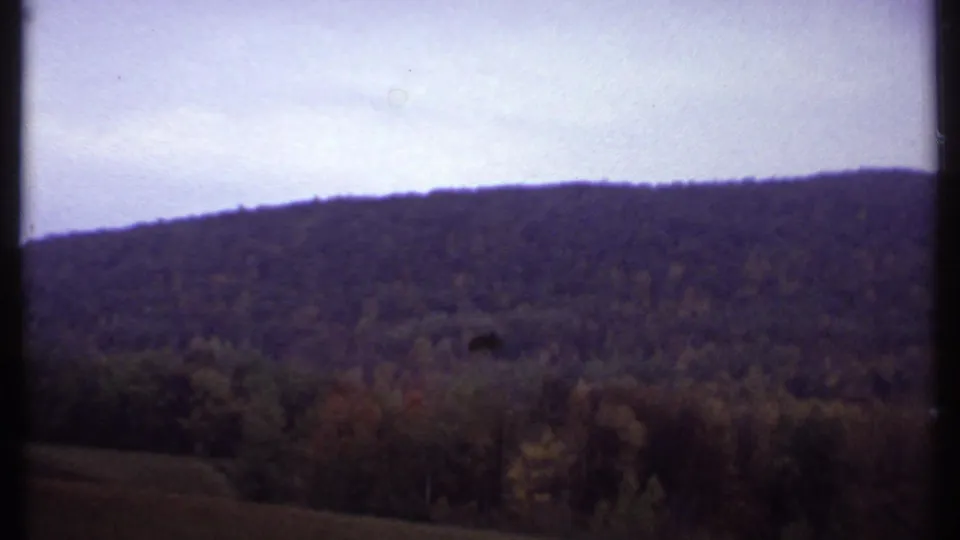 1979 Ithaca landscape frame with a dark wooded ridge, mixed treetops, open ground, and soft overcast light.