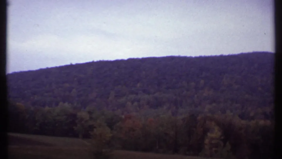 Final 1979 Ithaca home-movie frame holding on a forested hillside, treetops, and pale sky with visible 8mm texture.