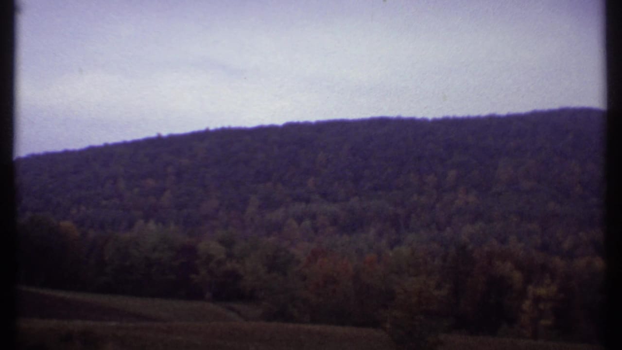 Wooded ridge beneath a pale sky with dark trees and field in the foreground.