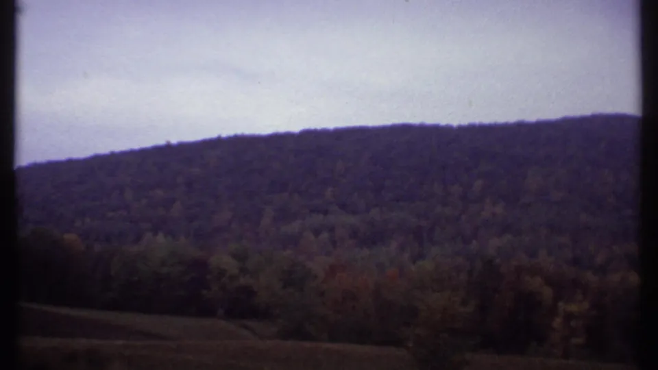 1979 8mm home-movie view near Ithaca showing a wooded ridge, muted autumn trees, and open foreground land under overcast sky.