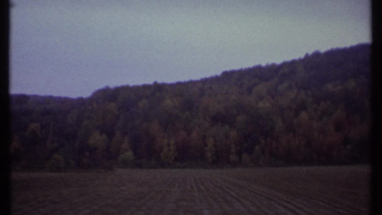 Wide field below a forested hill under a pale sky.