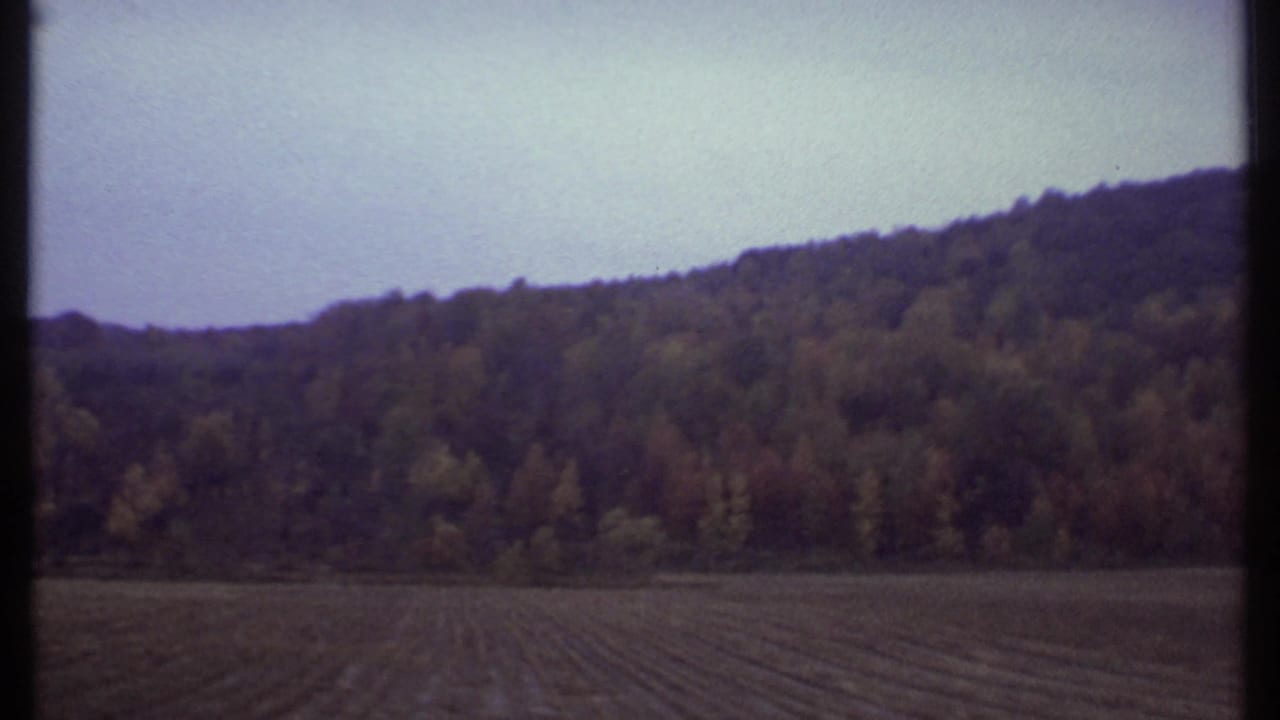 Plowed field below a wooded hillside under a pale sky.