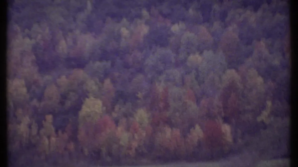 Dense wooded hillside near Ithaca appears through a moving 8mm view, with muted greens, reds, and purples.