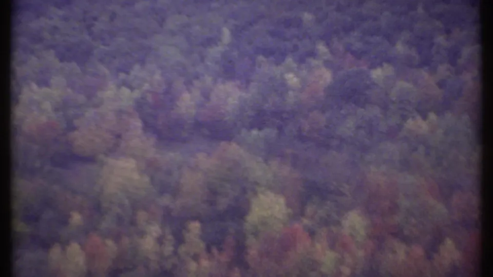 A moving 8mm view near Ithaca shows blurred forest canopy and hillside vegetation in aged purple-green tones.