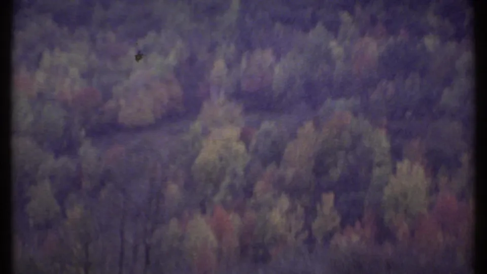 The final frame shows dense New York woodland in autumn tones, partially divided by a dark vertical film or window edge.