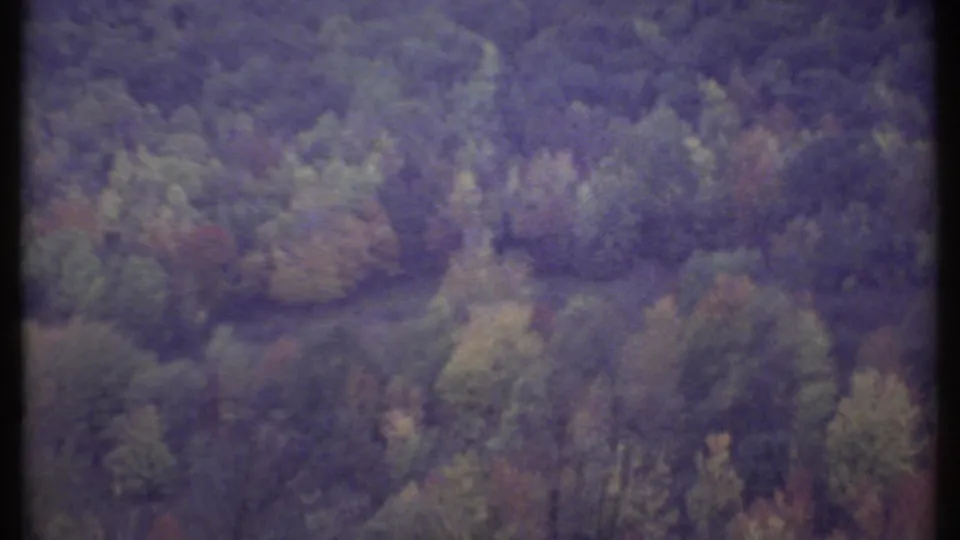 Soft 1979 8mm view of a wooded hillside near Ithaca, New York, with muted green and purple foliage.