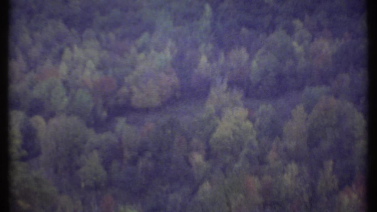 Tree-covered hillside with faded color and a dark vertical film edge.