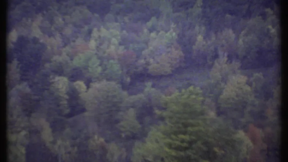 A moving 8mm car-window view shows layered trees and autumn tones in the countryside near Ithaca, New York.