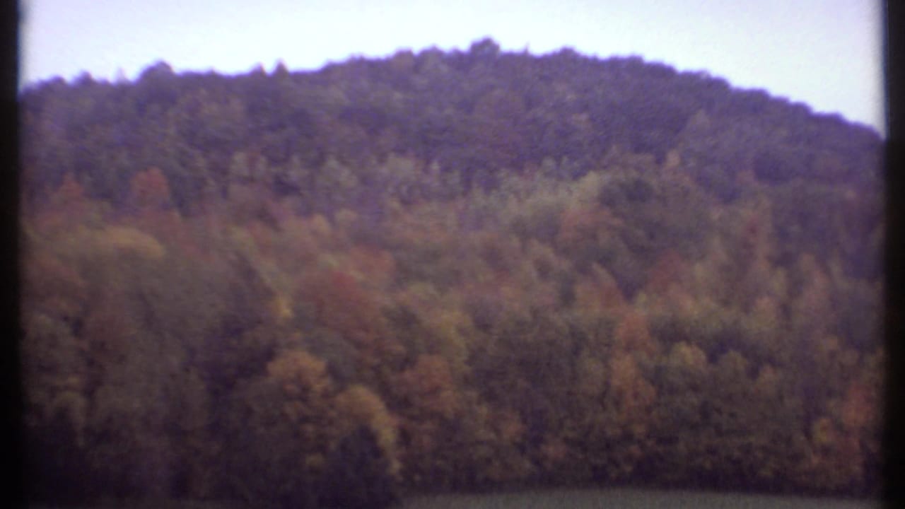 Wooded hill covered in early autumn foliage beneath a pale sky.