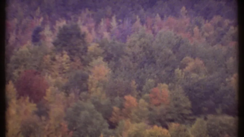 1979 Ithaca-area aerial frame showing a closer view of mixed forest canopy with green, orange, red, and yellow foliage.