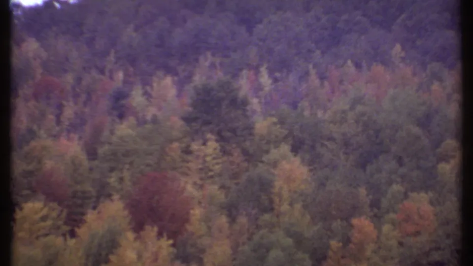 Aerial 8mm view near Ithaca of layered forest canopy and distant wooded hills in subdued autumn color.