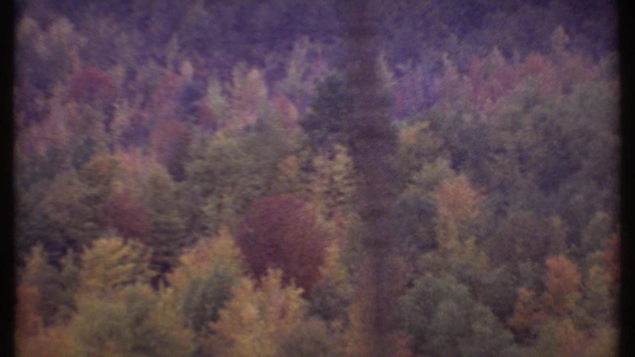 1979 Ithaca-area 8mm frame showing a soft aerial view over dense autumn forest and wooded hills.