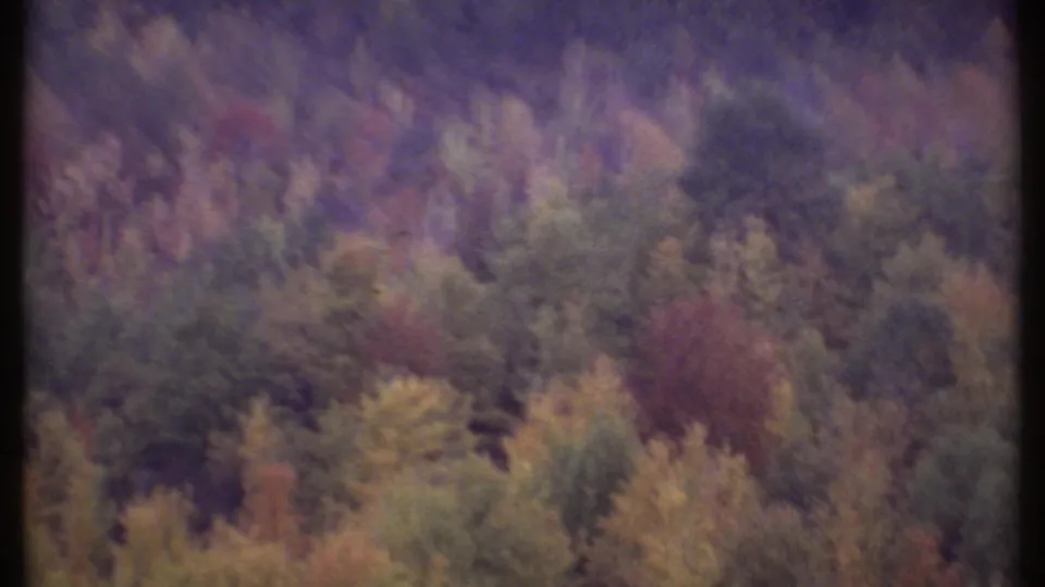 1979 Ithaca-area 8mm frame of mixed autumn foliage seen from above, divided by a dark film or scan edge.