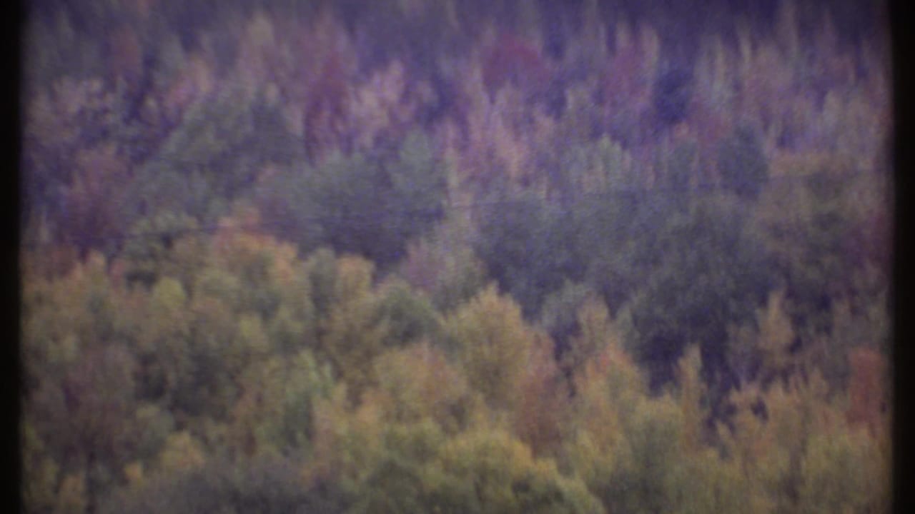 Soft-focus wooded hillside with autumn-colored trees and dark film borders.