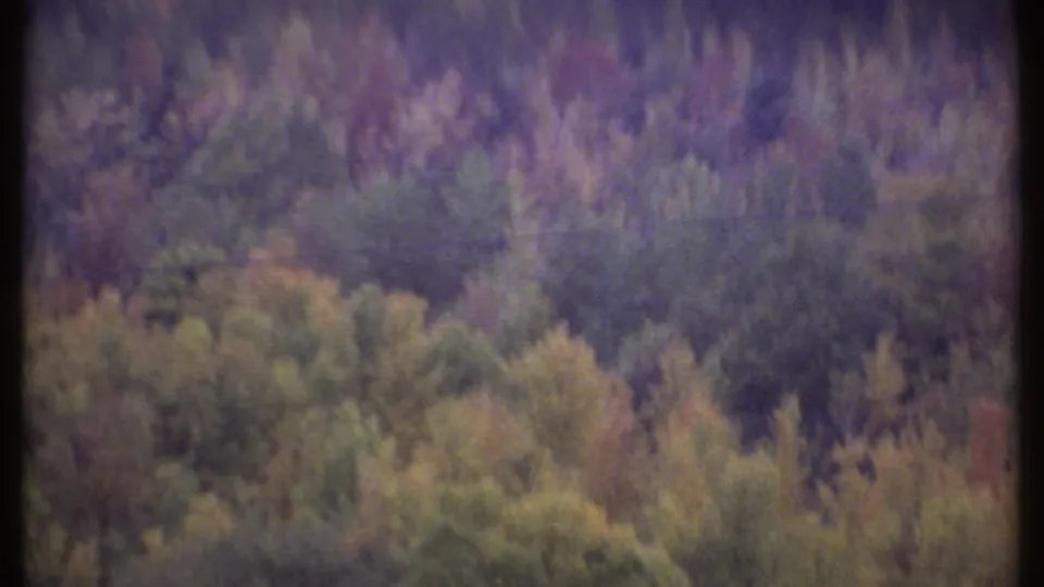 1979 8mm frame from Ithaca, New York, showing a wooded hillside in muted autumn colors with soft focus and dark frame edges.