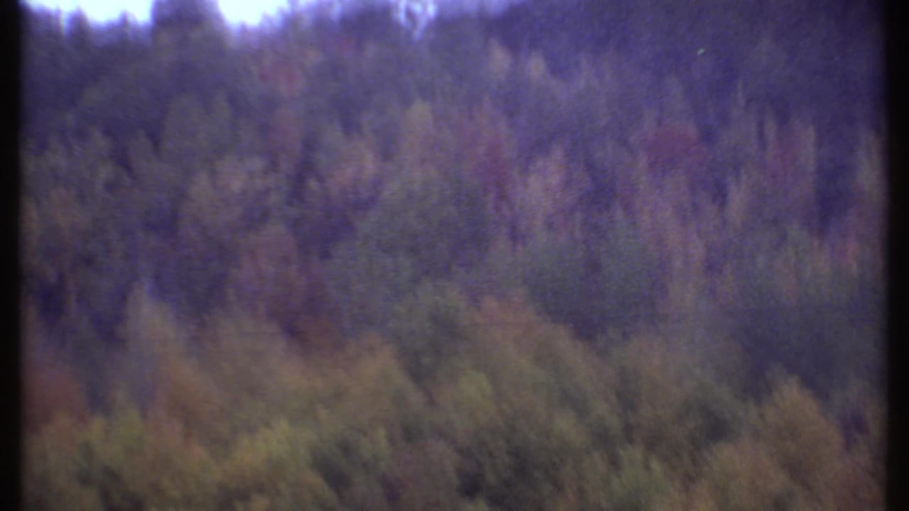 Blurred forested slope with dense trees and dark vertical film edge.